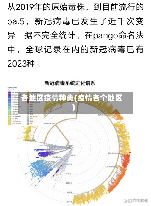 各地区疫情种类(疫情各个地区)-第2张图片