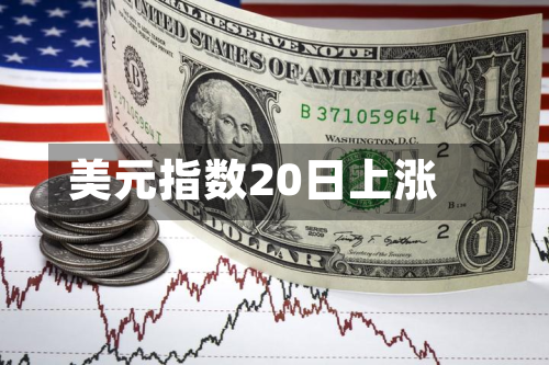 美元指数20日上涨