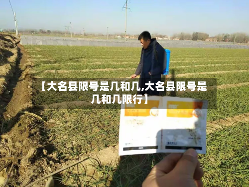 【大名县限号是几和几,大名县限号是几和几限行】-第2张图片