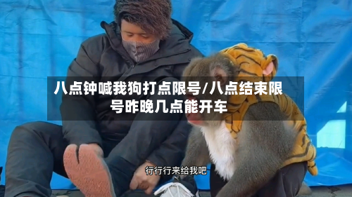 八点钟喊我狗打点限号/八点结束限号昨晚几点能开车-第3张图片
