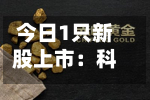今日1只新股上市：科创板泰诺麦博-第2张图片