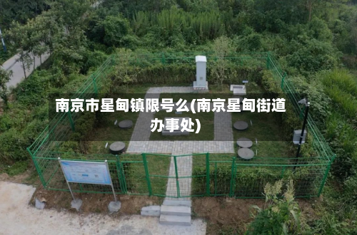 南京市星甸镇限号么(南京星甸街道办事处)-第2张图片