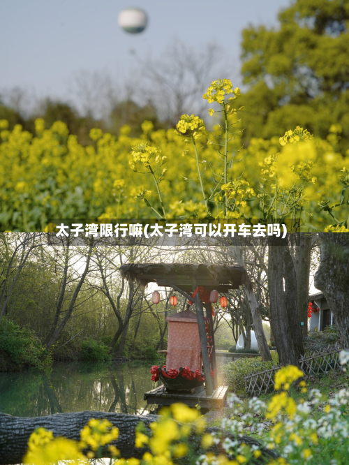 太子湾限行嘛(太子湾可以开车去吗)