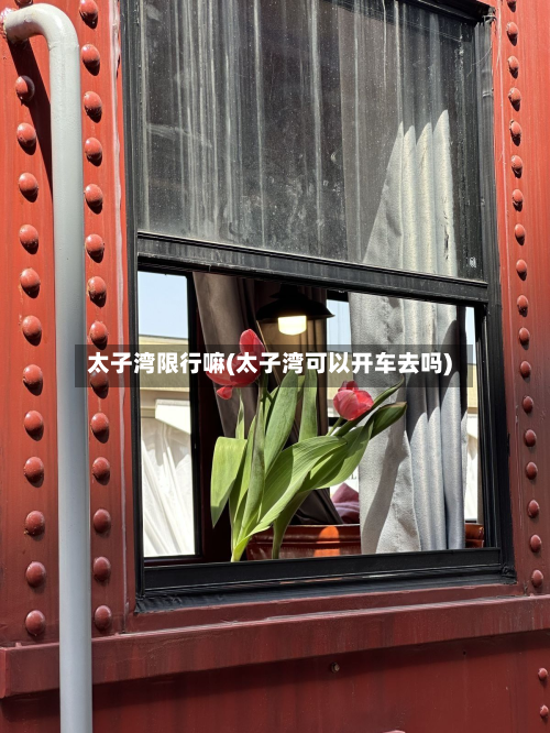 太子湾限行嘛(太子湾可以开车去吗)-第3张图片