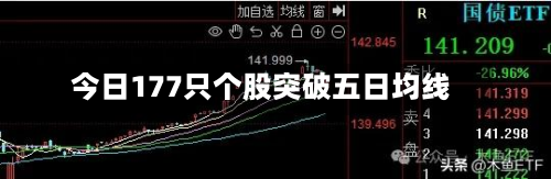 今日177只个股突破五日均线