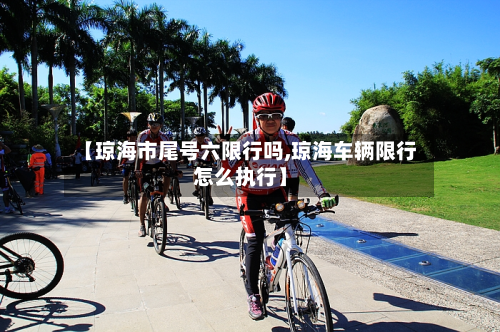 【琼海市尾号六限行吗,琼海车辆限行怎么执行】-第2张图片
