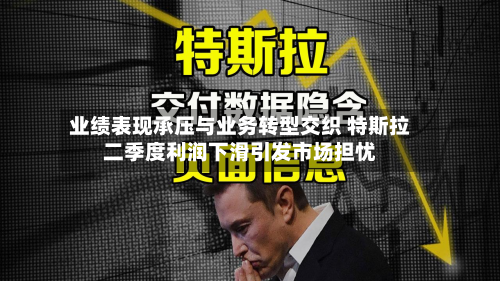 业绩表现承压与业务转型交织 特斯拉二季度利润下滑引发市场担忧