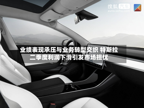 业绩表现承压与业务转型交织 特斯拉二季度利润下滑引发市场担忧-第2张图片