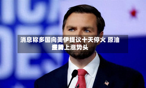 消息称多国向美伊提议十天停火 原油费用
逆转上涨势头-第2张图片