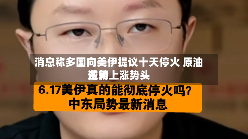 消息称多国向美伊提议十天停火 原油费用逆转上涨势头