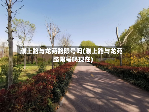 濮上路与龙苑路限号吗(濮上路与龙苑路限号吗现在)-第2张图片