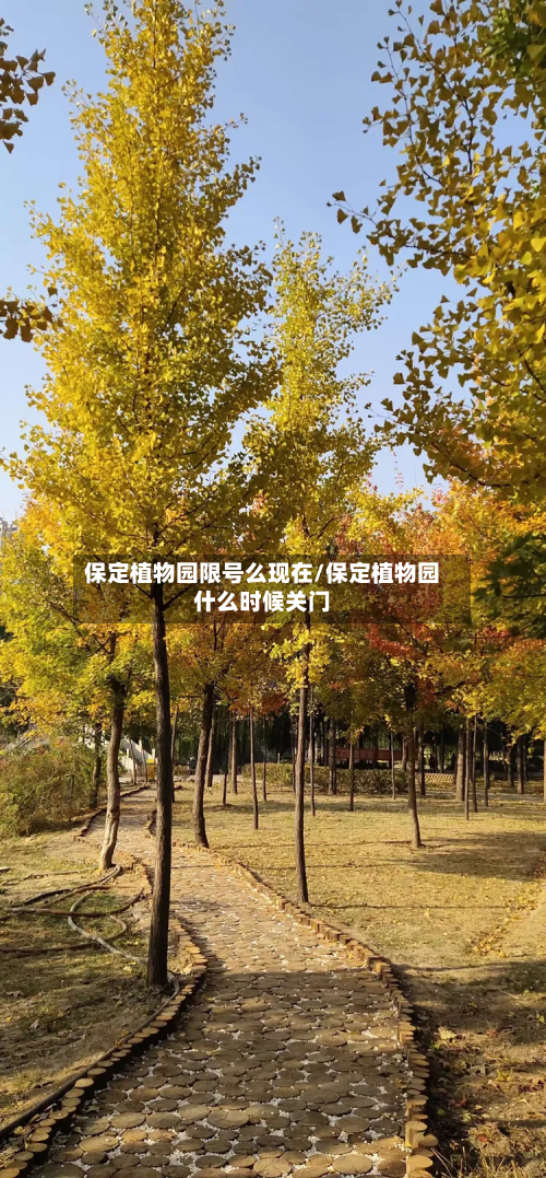 保定植物园限号么现在/保定植物园什么时候关门