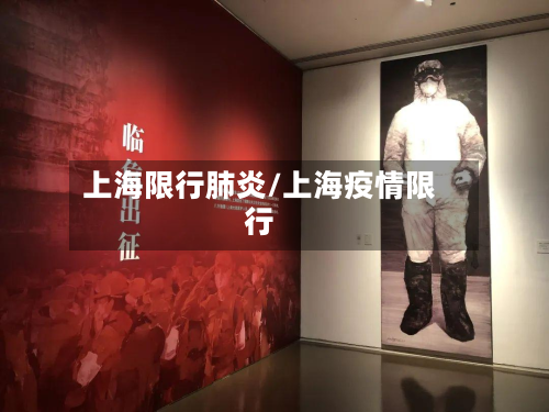 上海限行肺炎/上海疫情限行-第3张图片