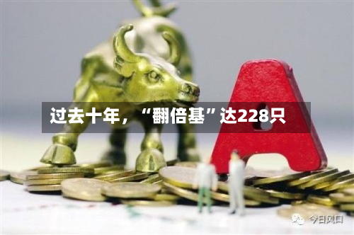 过去十年，“翻倍基”达228只-第2张图片