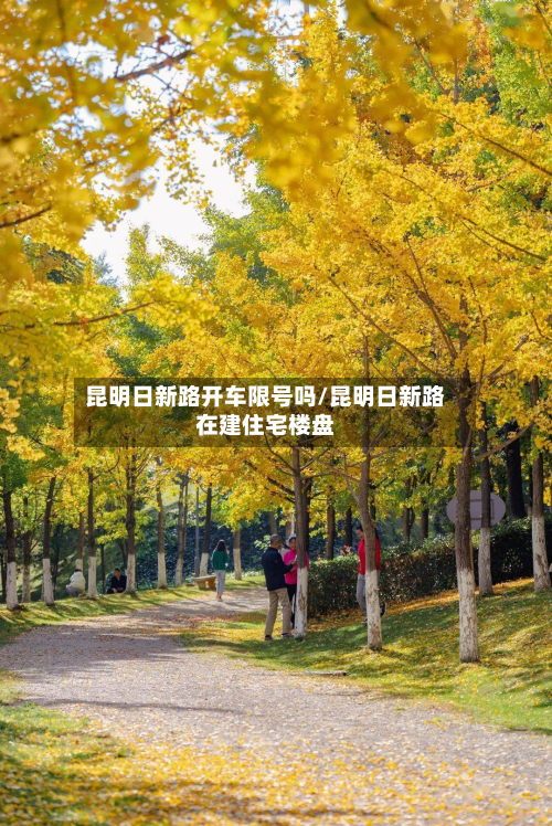 昆明日新路开车限号吗/昆明日新路在建住宅楼盘-第2张图片