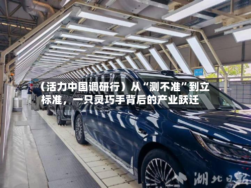 （活力中国调研行）从“测不准”到立标准，一只灵巧手背后的产业跃迁