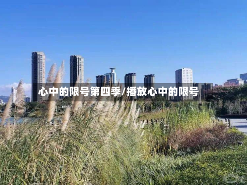 心中的限号第四季/播放心中的限号-第2张图片