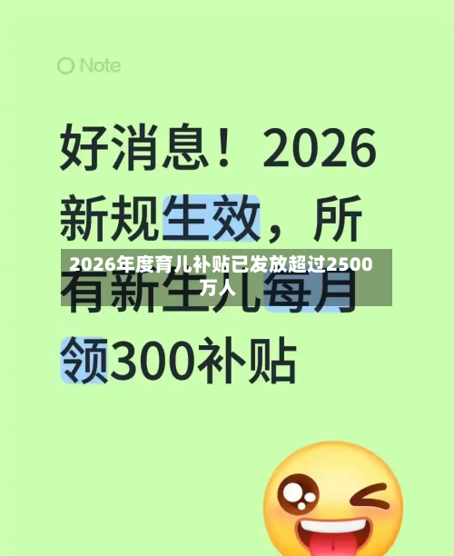 2026年度育儿补贴已发放超过2500万人-第2张图片