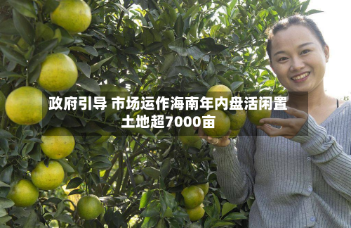 政府引导 市场运作海南年内盘活闲置土地超7000亩