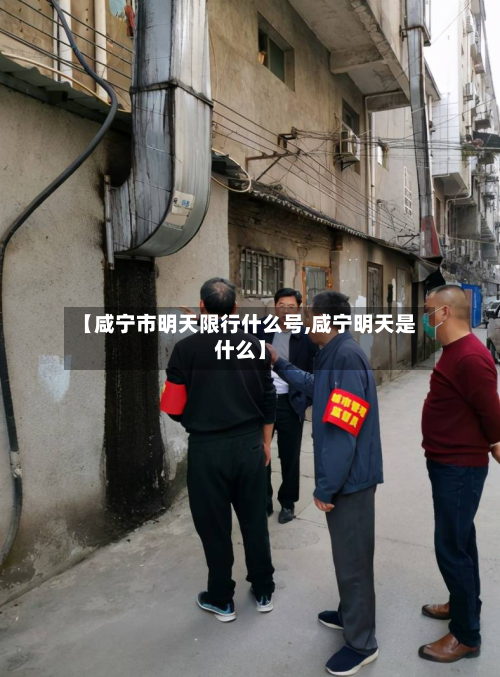 【咸宁市明天限行什么号,咸宁明天是什么】-第2张图片