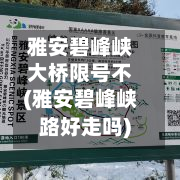 雅安碧峰峡大桥限号不(雅安碧峰峡路好走吗)