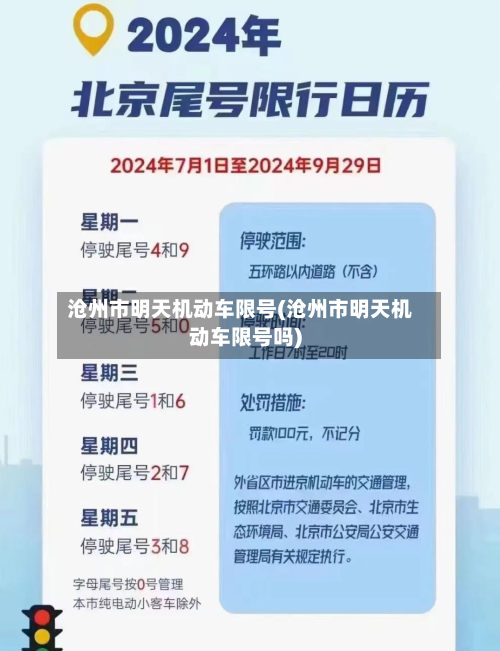 沧州市明天机动车限号(沧州市明天机动车限号吗)-第3张图片