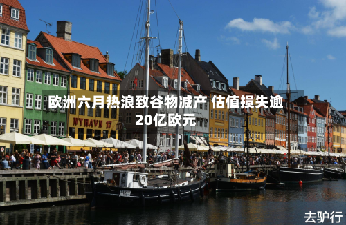 欧洲六月热浪致谷物减产 估值损失逾20亿欧元-第3张图片