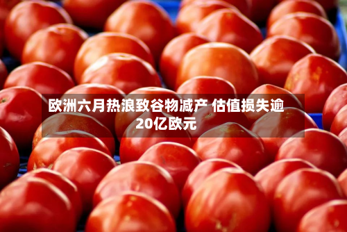 欧洲六月热浪致谷物减产 估值损失逾20亿欧元-第2张图片