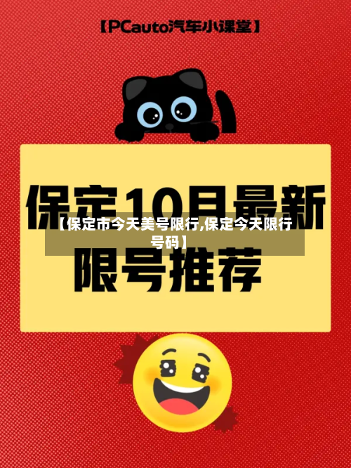 【保定市今天美号限行,保定今天限行号码】-第2张图片