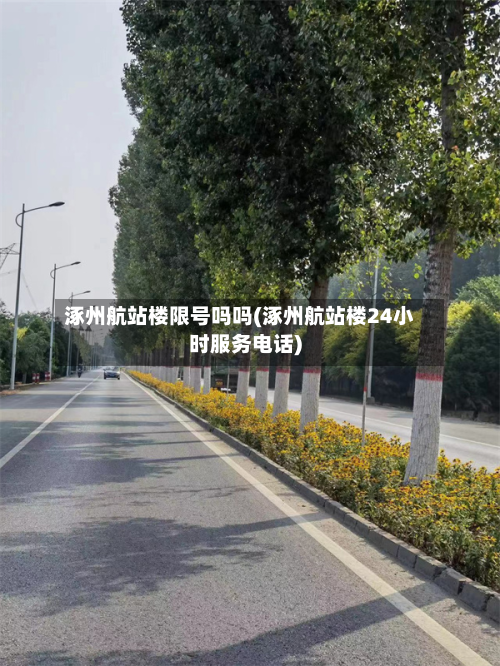 涿州航站楼限号吗吗(涿州航站楼24小时服务电话)-第3张图片