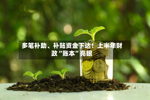 多笔补助、补贴资金下达！上半年财政“账本”亮眼-第3张图片