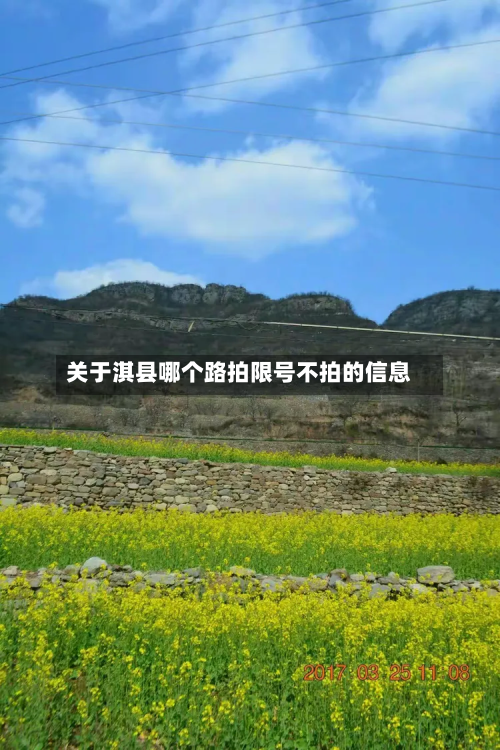 关于淇县哪个路拍限号不拍的信息