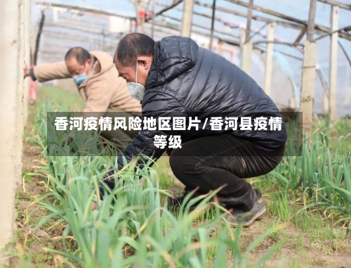 香河疫情风险地区图片/香河县疫情等级-第2张图片