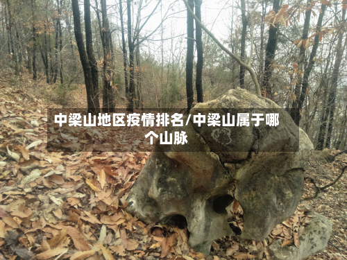 中梁山地区疫情排名/中梁山属于哪个山脉