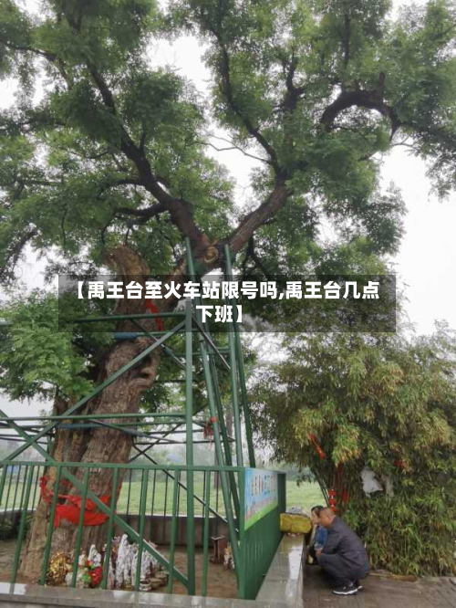 【禹王台至火车站限号吗,禹王台几点下班】-第2张图片