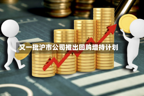 又一批沪市公司推出回购增持计划