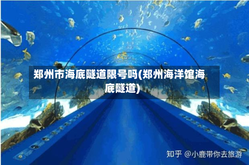 郑州市海底隧道限号吗(郑州海洋馆海底隧道)