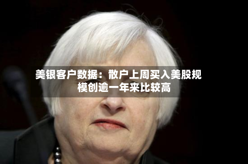 美银客户数据：散户上周买入美股规模创逾一年来比较高-第2张图片