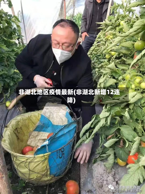 非湖北地区疫情最新(非湖北新增12连降)