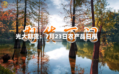 光大期货:7月23日农产品日报-第3张图片
