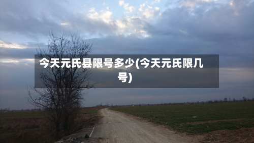 今天元氏县限号多少(今天元氏限几号)