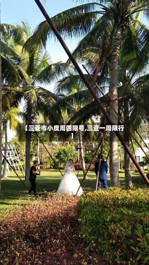 【三亚市小度周四限号,三亚一周限行】