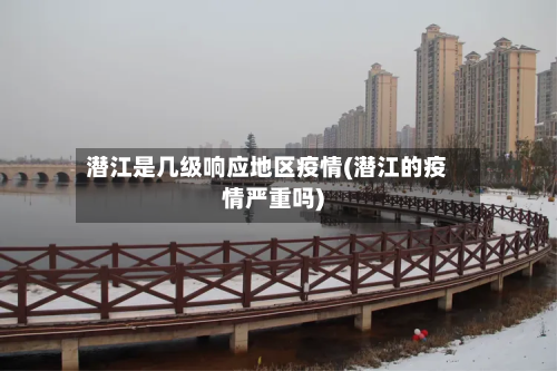 潜江是几级响应地区疫情(潜江的疫情严重吗)