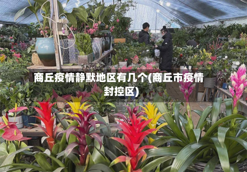 商丘疫情静默地区有几个(商丘市疫情封控区)-第2张图片