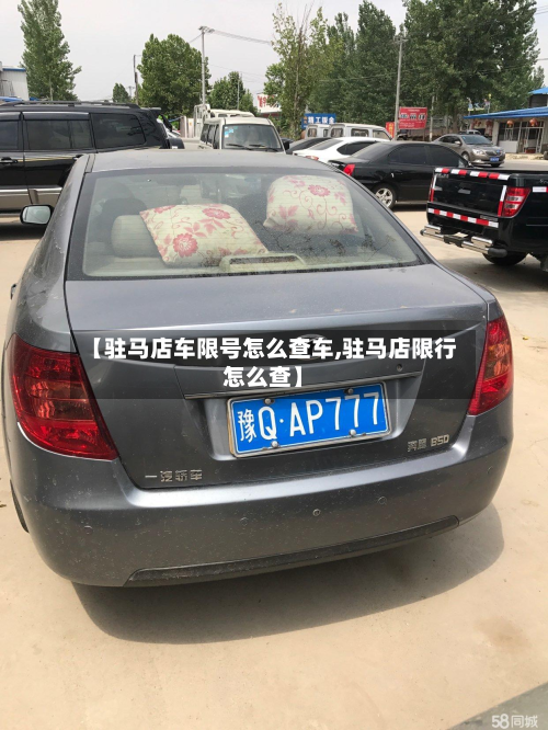 【驻马店车限号怎么查车,驻马店限行怎么查】