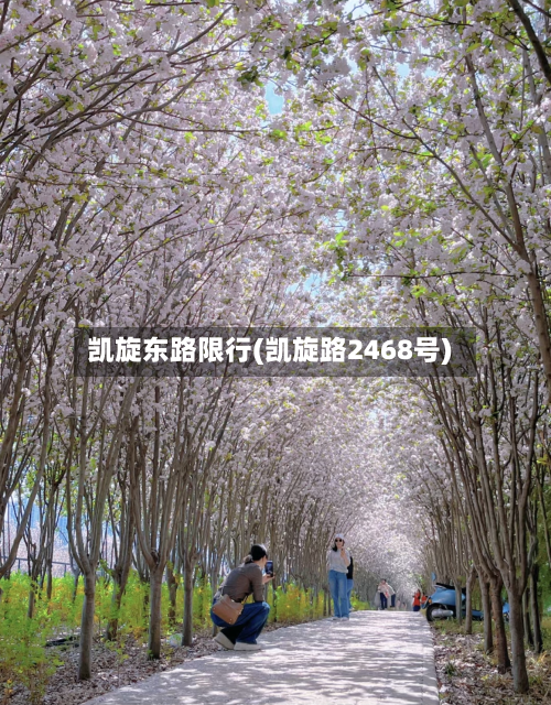 凯旋东路限行(凯旋路2468号)-第3张图片