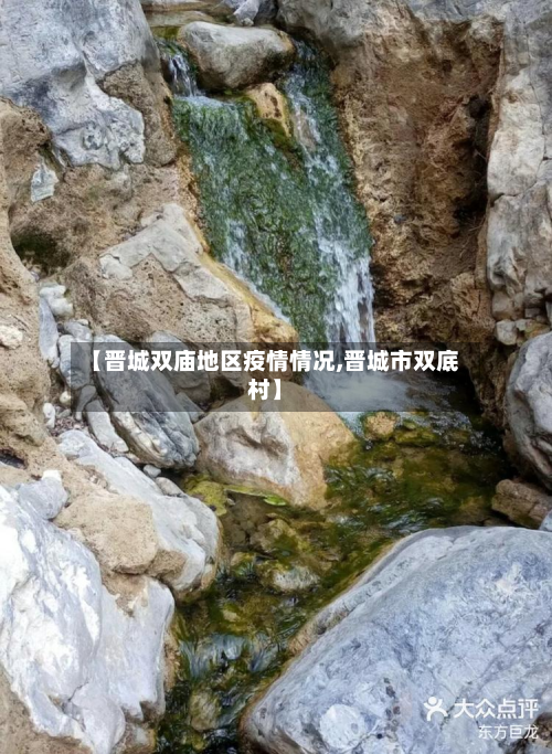【晋城双庙地区疫情情况,晋城市双底村】