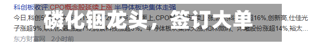 磷化铟龙头，签订大单！