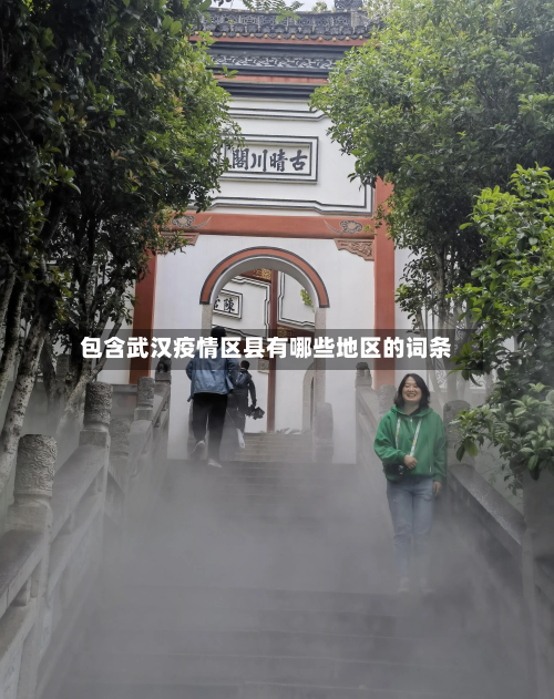 包含武汉疫情区县有哪些地区的词条-第2张图片