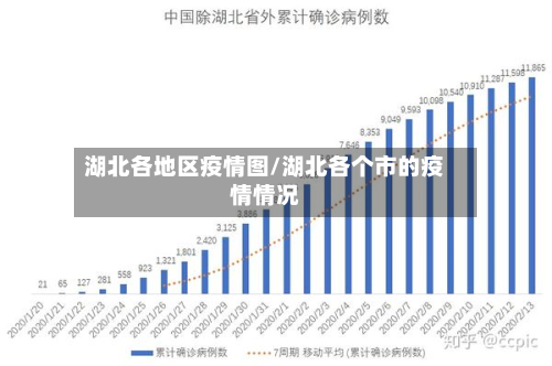 湖北各地区疫情图/湖北各个市的疫情情况-第3张图片
